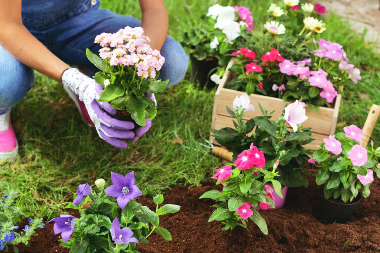Forårsklar i haven: Plantetips og lys til at fremhæve din have